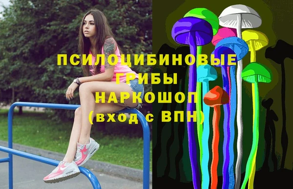 соль курить ск Дмитровск