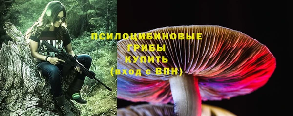 бошки Дмитриев