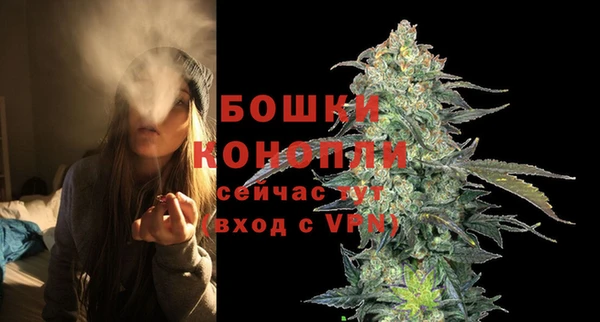 МДПВ Ельня