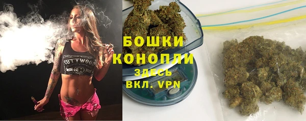 бошки Дмитриев